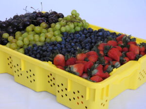 Berry Tray, Fisherman Basket, Fishing Basket, Milk Crates, Lug Container, Plastic Baskets, Plastic Bins, Plastic Bins For Sale, Plastic Box Packaging, Plastic Boxes For Sale, Plastic Cages, Plastic Carrying Cases, Plastic Crates, Plastic Flats, Plastic Garbage Cans, Plastic Milk Crate, Plastic Packaging, Plastic Pallet, Plastic Pallet For Sale, Plastic Storage Bins, Plastic Tray, Shipping Pallets, Storage Bins, Storage Plastic Boxes, Fish Basket, Plastic Lug, Plastic Tote And Crate, Tote, Crate, Tray, Pack, Lug, Box, Injection Moulded Plastics, Plastics Recycling, Milk Crates, Heavy Duty Milk Crates