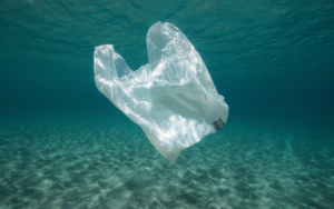 A plastic bag in the ocean.
