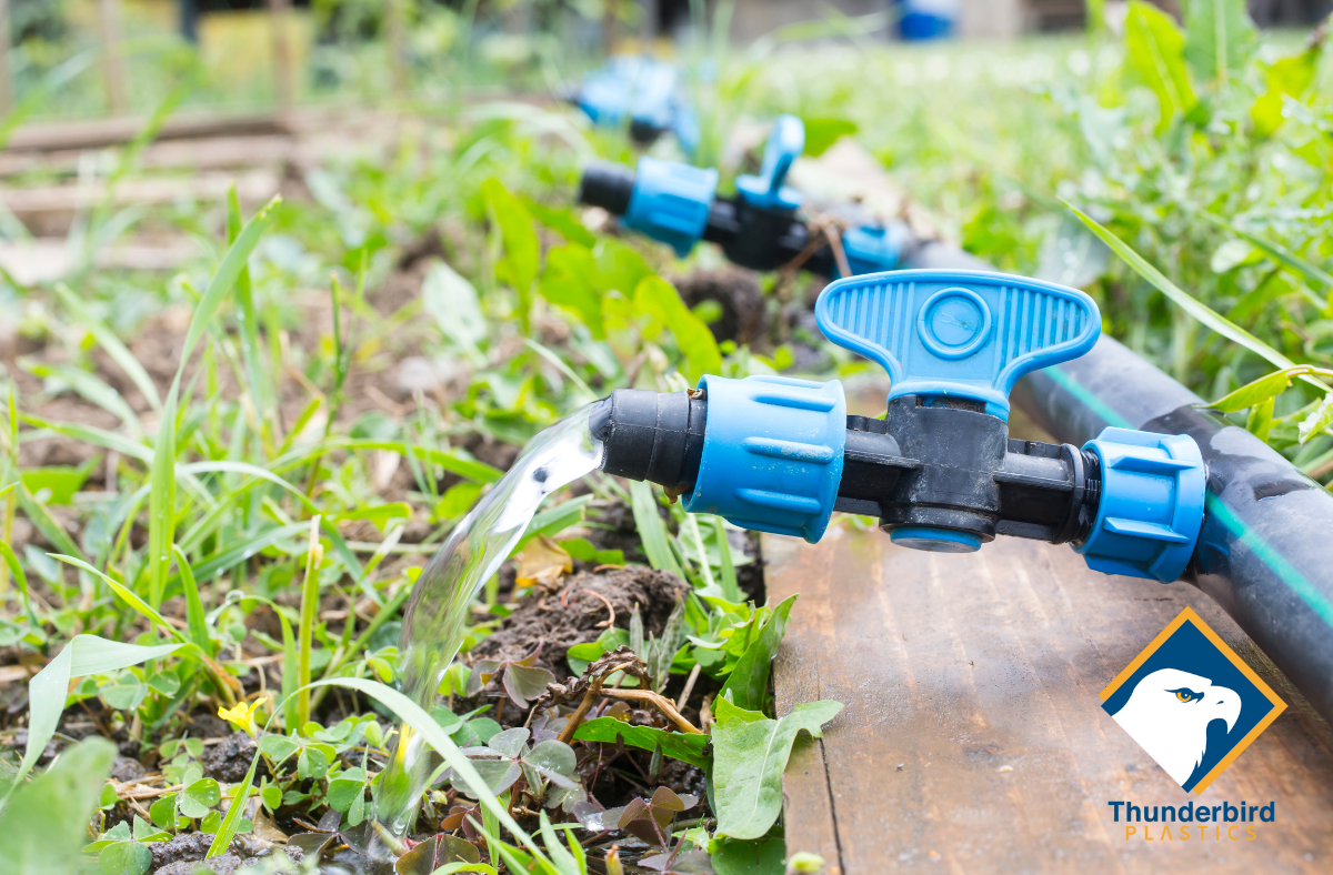 A row of blue irrigation spouts watering a row of small greenery. Tags: reusable transport packaging, bakery trays, berry trays, farm trays, farming supplies store near me, farming supplies near me, farming supplies near me, farming supplies store, farming supplies store, fish farming supplies, co op farming supplies, farming supplies canada, farming supplies canada, berry farming, harvesting basket, bc shellfish harvesting map, apple harvesting near me, harvesting, harvesting garlic when, harvesting potatoes when, combine harvesting machine, harvesting garlic, meaning of harvesting, harvesting cannabis, strawberry harvesting season, john deere combine harvesting, grain harvesting, the harvesting, rain water harvesting, harvesting rainwater, urban harvesting, case ih combine harvesting, aerogarden harvesting, tax loss harvesting, harvesting synonyms, rain harvesting system, harvesting synonym, rainfall harvesting, cranberry harvesting, harvesting rhubarb, harvesting meaning, harvesting basil, harvesting fresh basil, harvesting near me, definition of harvesting, harvesting on a full moon, sunflower seed harvesting, potato harvesting, harvesting basket, harvesting potatoes, harvesting cranberries, corn harvesting, harvesting corn, onion harvesting, harvesting time, shelterwood harvesting, harvesting lettuce, harvesting dill, harvesting garden, harvesting operation, harvesting energy, blue harvesting, israel organ harvesting, organ harvesting, harvesting onions, harvesting lettuce leaves, harvesting leaf lettuce, harvesting time, tiktok data harvesting, is rainwater harvesting illegal, peanut harvesting, water harvesting system, harvesting traduction, cotton harvesting, shellfish harvesting map, season for harvesting, colostrum harvesting, harvesting lavender, harvesting asparagus, harvesting cilantro, harvesting of wheat, harvesting garlic scapes, harvesting of soybean, tree harvesting, harvesting kale, harvesting beets, harvesting coriander, harvesting season, harvesting services, cashew harvesting, bc shellfish harvesting map, harvesting garlic scapes, harvesting wheat, blueberry harvesting, harvesting parsley, potatoes harvesting time, harvesting spinach, john deere harvesting, harvesting canola, harvesting mint, quinoa harvesting, wildlife harvesting, harvesting rosemary, harvesting oregano, harvesting quinoa, harvesting mint leaves, harvesting sunflowers, harvesting romaine lettuce, harvesting basil leaves, pumpkin harvesting, harvesting pine nuts, wild rice harvesting, sugar cane harvesting, harvesting sunflowers, custom harvesting, grape harvesting, cotton harvesting machine, harvesting tomatoes, harvesting peas, water harvesting tank, lightning harvesting, celery harvesting time, harvesting chaga, garden harvesting basket, harvesting horseradish, harvesting thyme, harvesting vegetables, harvesting walnuts, black walnut harvesting, wild rice harvesting, walnut harvesting, harvesting chives, apple harvesting, aloe vera harvesting, harvesting carrot seeds, apple tree harvesting, carrot harvesting machine, harvesting swiss chard, harvesting mullein, harvesting labourers, over harvesting, harvesting potatoes too early, harvesting machinery, pearl harvesting, harvesting water, harvesting beans, harvesting fiddleheads, harvesting combine price, timber harvesting equipment for sale, strawberry harvesting, asparagus harvesting, harvesting of sugarcane, harvesting equipment, harvesting poppy seeds, rice harvesting equipment, harvesting crops, forest harvesting, tobacco harvesting, harvesting hops, harvesting cabbage, harvesting apples, harvesting aloe vera, harvesting zucchini, harvesting marigold seeds, harvesting mullein, harvesting potatoes too early, harvesting tobacco, harvesting swiss chard, harvesting basil seeds, harvesting saffron, wood harvesting, diy rain harvesting system, harvesting garlic in ontario, tools of harvesting, sweet potato harvesting, harvesting rose hips, harvesting cauliflower, harvesting grain, harvesting oats, residential rain harvesting systems, shellfish harvesting map nova scotia, harvesting catnip, hazelnut harvesting, harvesting arugula, mechanical harvesting machines, automated harvesting machines