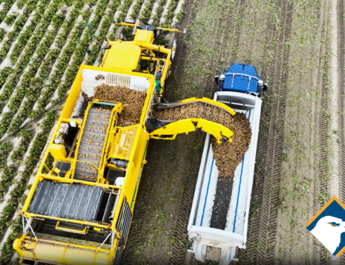 From Manual Labor, to Mechanization, to AI-Assisted Smart Farming