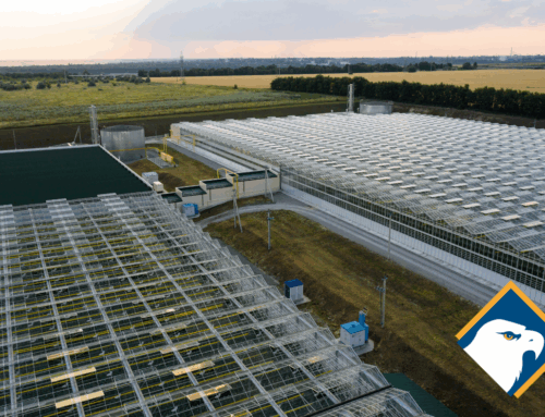 How Agricultural Harvesting Containers Support Greenhouse Automation in Canada
