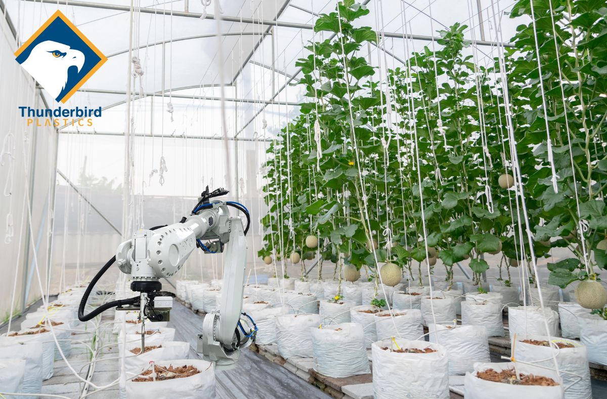 An image of plants inside of a greenhouse with a robotic arm harvester. Tags: agricultural harvesting containers, greenhouse automation, greenhouse harvesting bins, produce lugs, harvest totes, plastic farm bins, automated farming equipment, injection moulded containers, stackable harvest crates, greenhouse farming Canada, cucumber totes, bulk harvesting bins, sustainable agriculture containers, plastic totes for farming, farming automation tools, greenhouse produce handling, Canadian agriculture supplies, automated greenhouse systems, custom farm containers