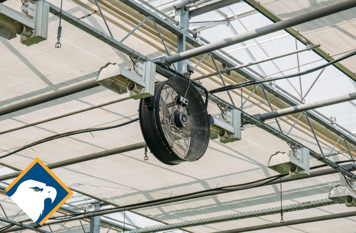 An image of a fan as part of a climate control system in a greenhouse. Tags: agricultural harvesting containers, greenhouse automation, greenhouse harvesting bins, produce lugs, harvest totes, plastic farm bins, automated farming equipment, injection moulded containers, stackable harvest crates, greenhouse farming Canada, cucumber totes, bulk harvesting bins, sustainable agriculture containers, plastic totes for farming, farming automation tools, greenhouse produce handling, Canadian agriculture supplies, automated greenhouse systems, custom farm containers