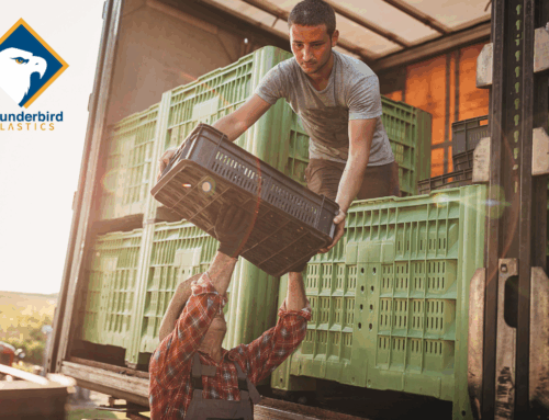 Exporting Fresh Fruit and Vegetables Across the US-Canada Border in 2025