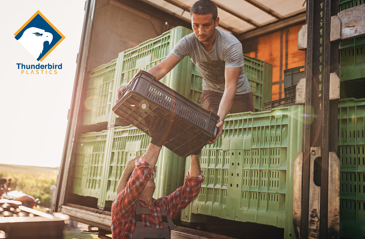 Two men unloading fruit and vegetables from a truck. Tags: agricultural harvesting containers, greenhouse automation, greenhouse harvesting bins, produce lugs, harvest totes, plastic farm bins, automated farming equipment, injection moulded containers, stackable harvest crates, greenhouse farming Canada, cucumber totes, bulk harvesting bins, sustainable agriculture containers, plastic totes for farming, farming automation tools, greenhouse produce handling, Canadian agriculture supplies, automated greenhouse systems, custom farm containers